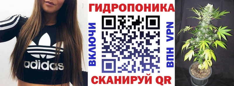 Продажа наркотиков Шенкурск Alpha-PVP  МАРИХУАНА  Псилоцибиновые грибы  NBOMe  МЕФ  мега tor  ГАШИШ 