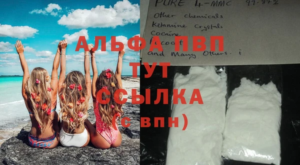 PSILOCYBIN Сатка
