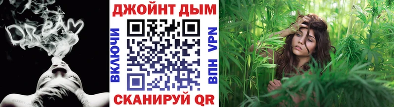 Конопля семена Шенкурск